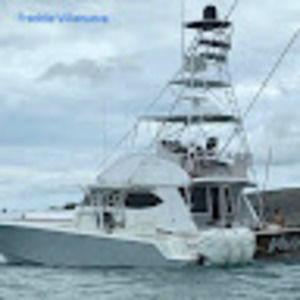 Meet your Posher, Freddie